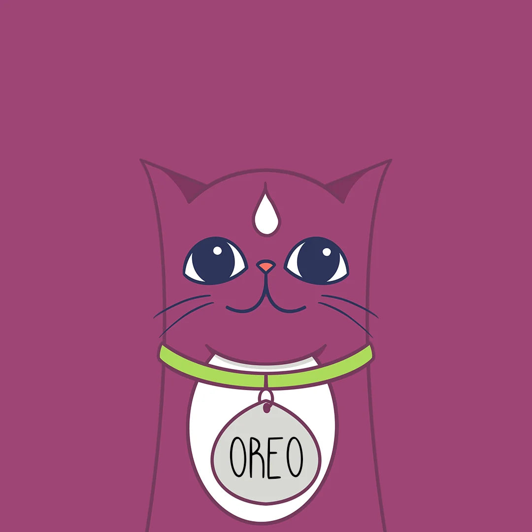 Oreo the Cat