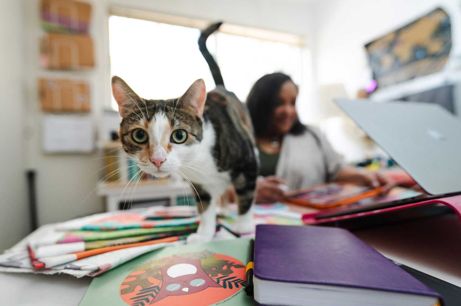 Artist with Cookie the Cat
